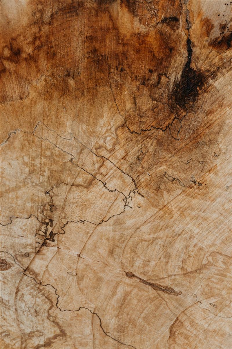 Vigas de madera en una vivienda antigua